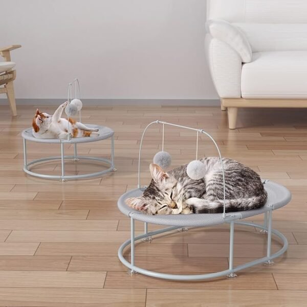Pet Hanging Toy USA