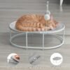 Pet Hanging Toy US