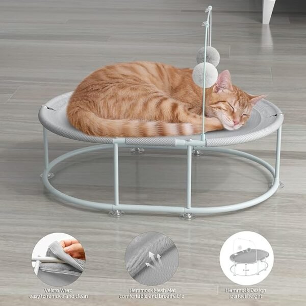Pet Hanging Toy US