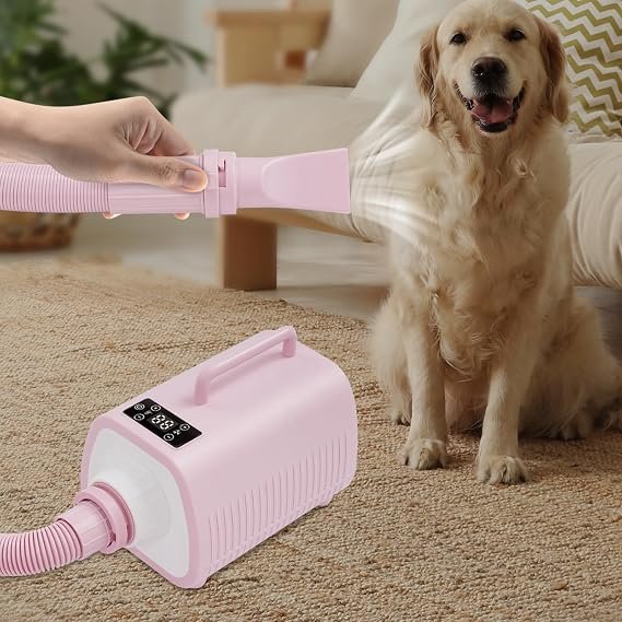 Premium Best Pet dryer in usa