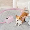 Best Pet dryer in usa