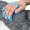 Pet Grooming in usa